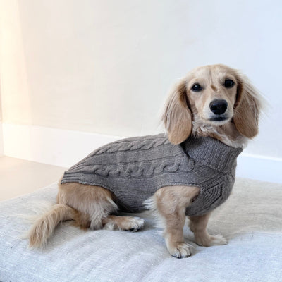 Cashmere Dog Sweater