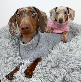 Turtleneck