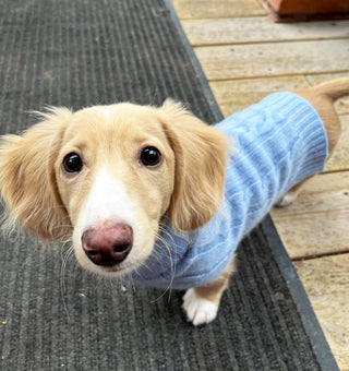 Turtleneck