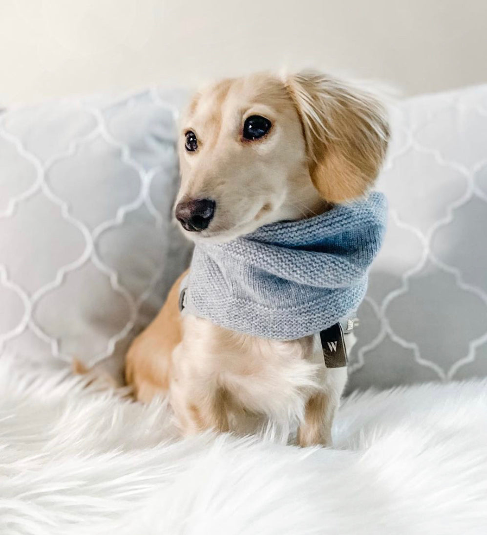 Cashmere Dog Sweater - Woolwag